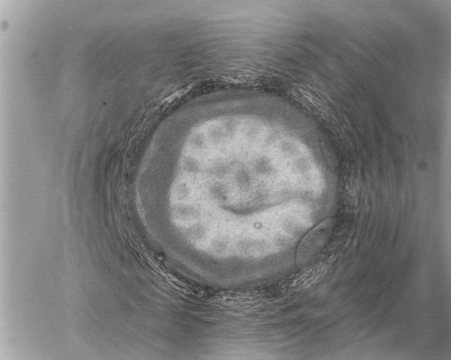 X0000059080817200510281721