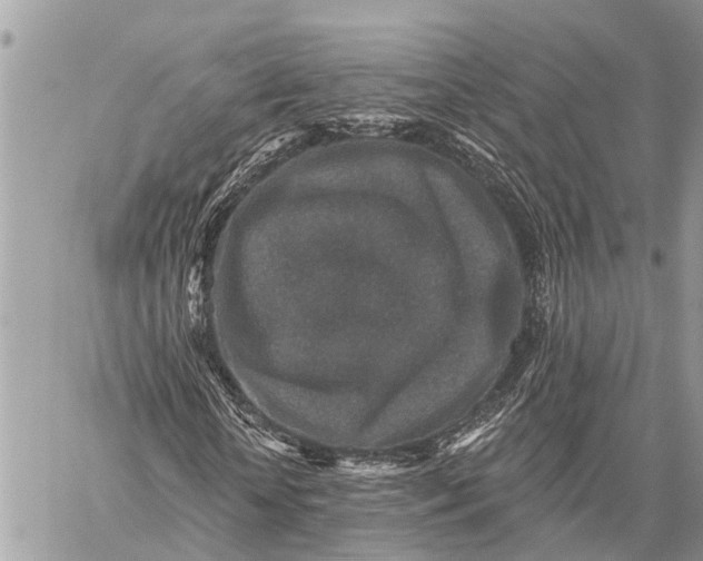 X0000059080818200510281721