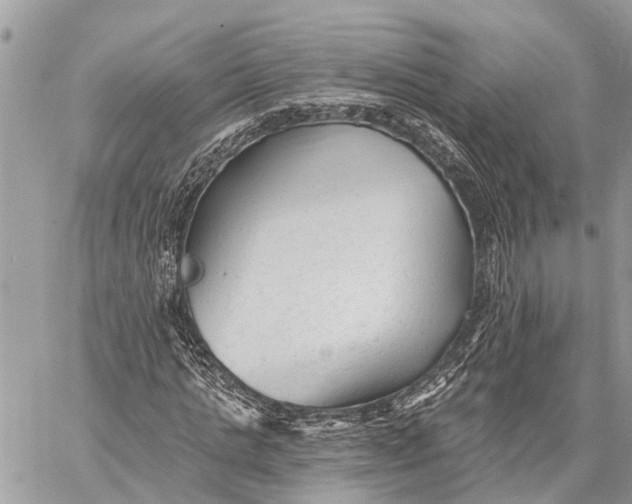 X0000059080821200510281721