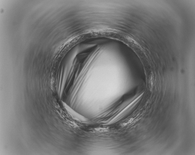 X0000059080822200510281721