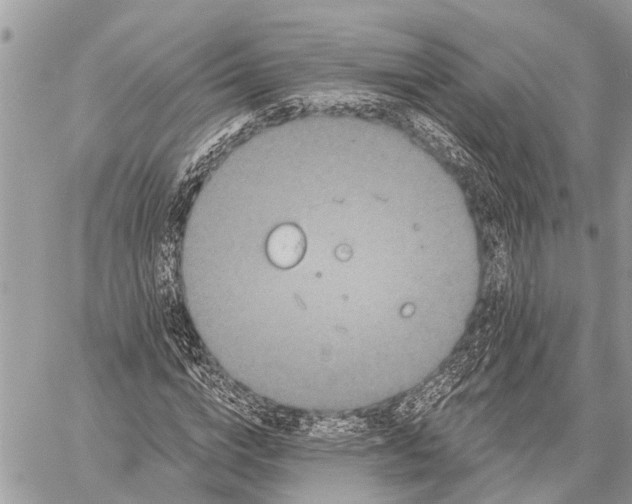 X0000059080824200510281721