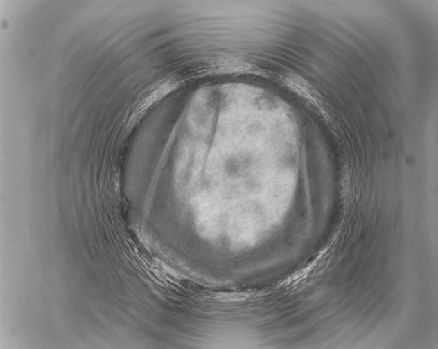 X0000059080825200510281721