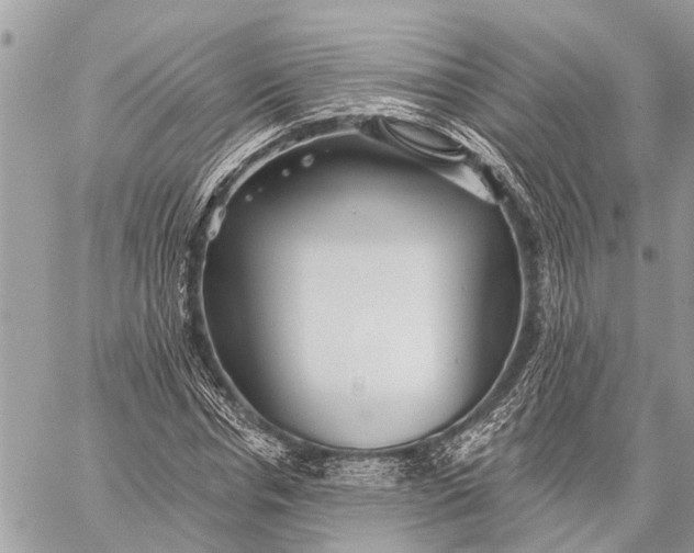 X0000059080826200510281721