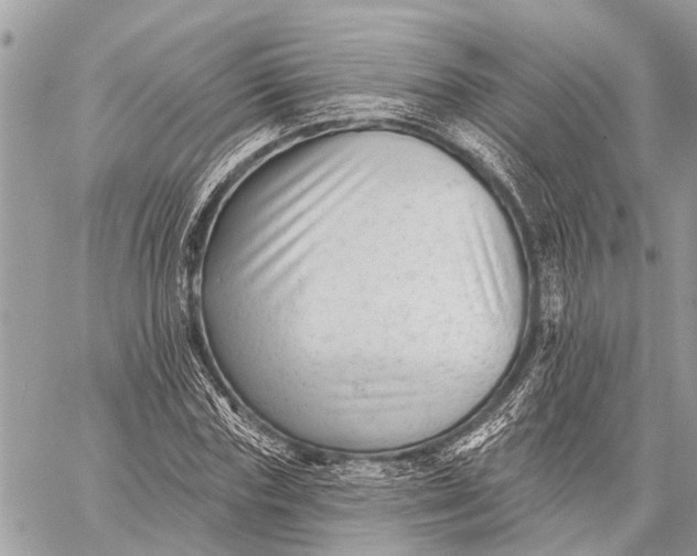 X0000059080827200510281721