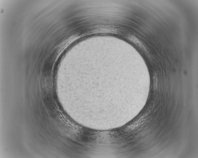 X0000059080828200510281721