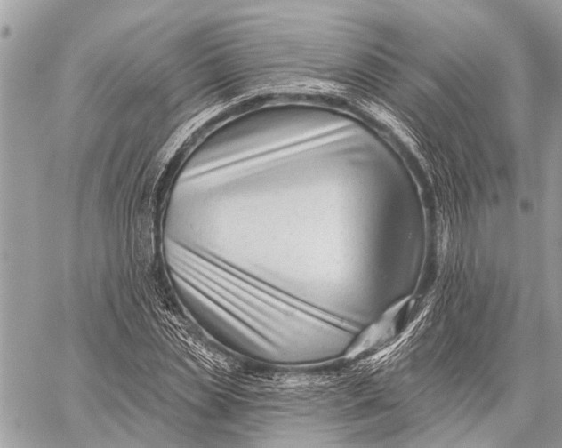 X0000059080829200510281721