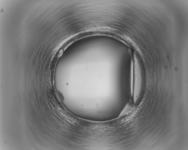 X0000059080830200510281721