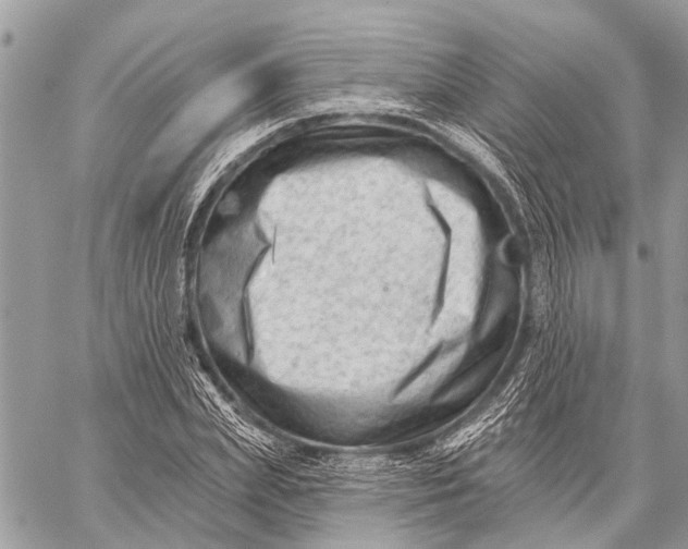 X0000059080831200510281721