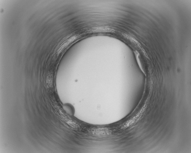 X0000059080833200510281721