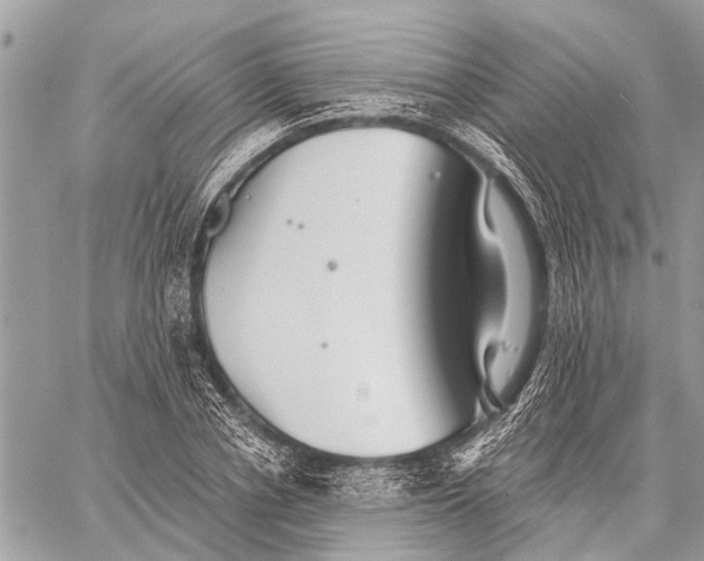 X0000059080834200510281721