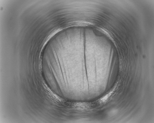 X0000059080835200510281721