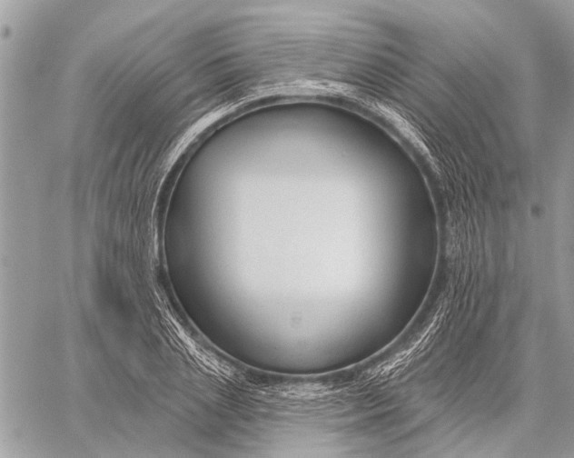 X0000059080837200510281721