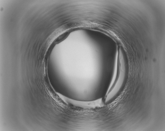 X0000059080838200510281721