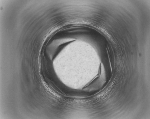 X0000059080840200510281721