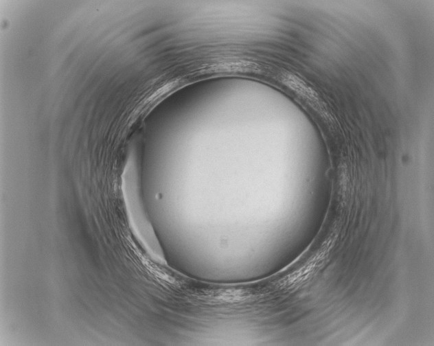 X0000059080841200510281721