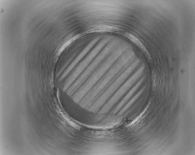 X0000059080842200510281721