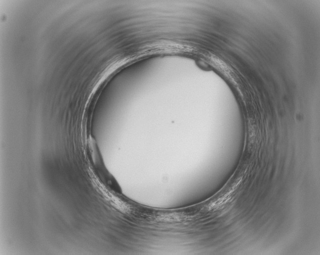 X0000059080843200510281721