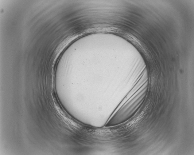 X0000059080844200510281721