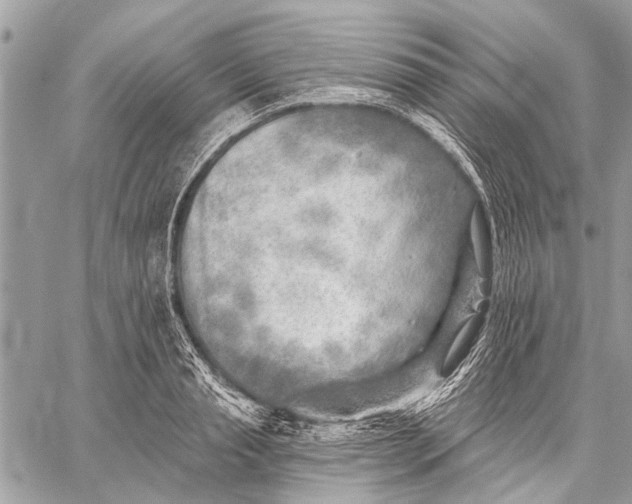 X0000059080845200510281721