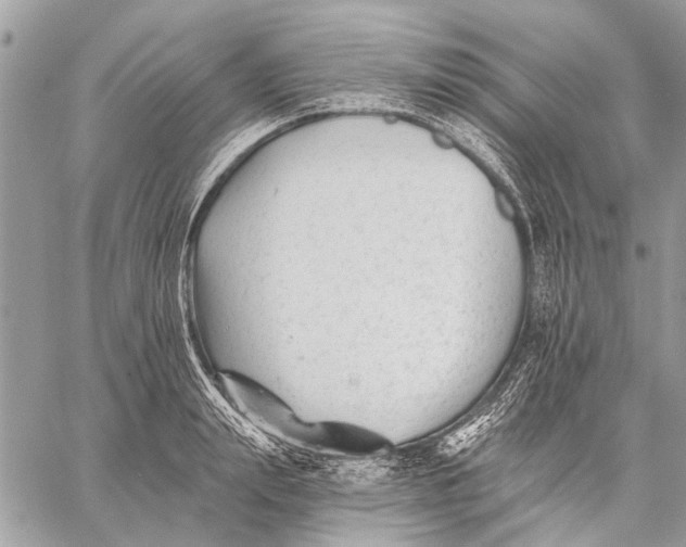 X0000059080847200510281721