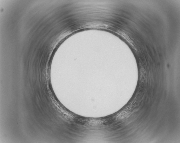 X0000059080848200510281721