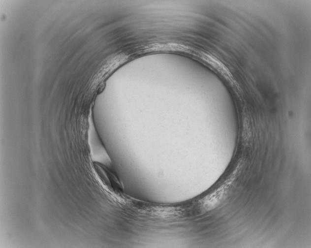 X0000059080849200510281721