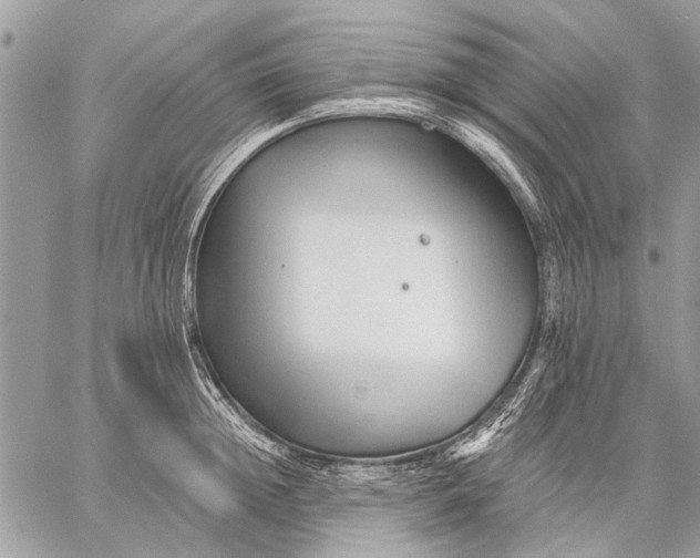 X0000059080852200510281722