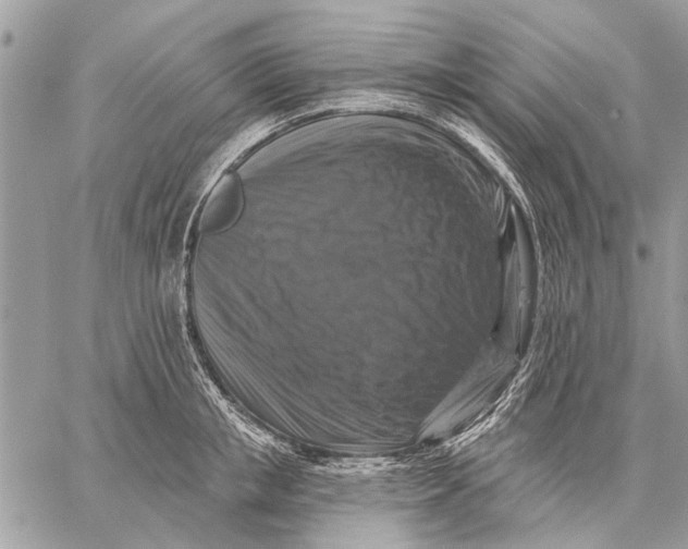 X0000059080853200510281722