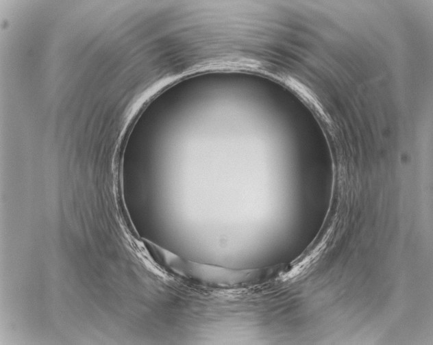 X0000059080854200510281722