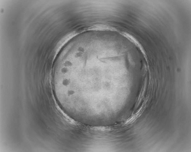 X0000059080855200510281722