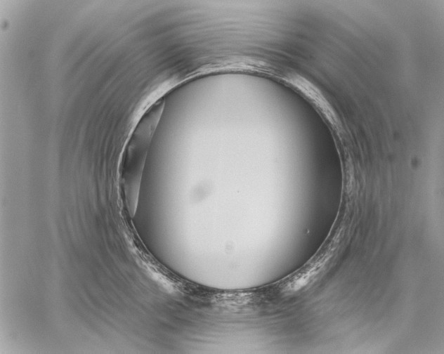 X0000059080858200510281722