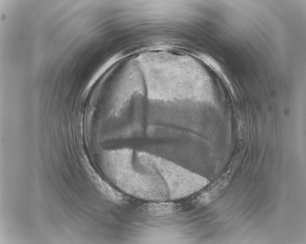 X0000059080859200510281722