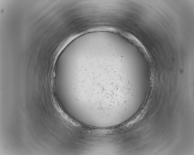 X0000059080860200510281722