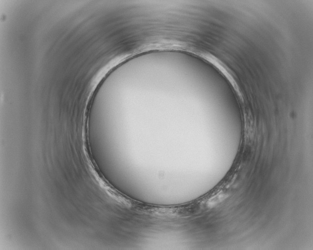 X0000059080861200510281722