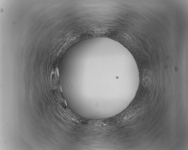 X0000059080866200510281721