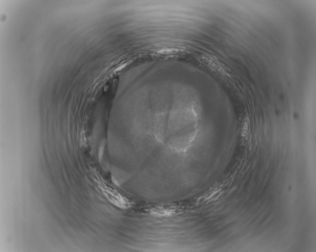 X0000059080868200510281721