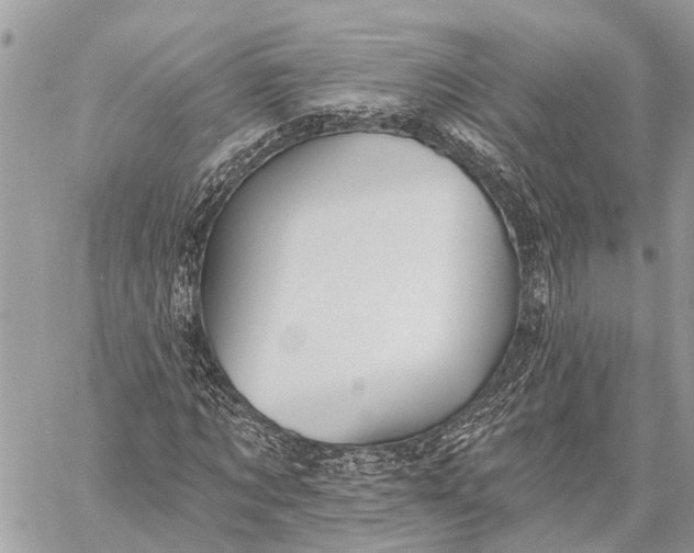 X0000059080869200510281721