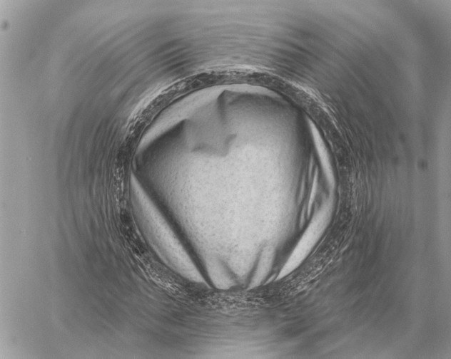 X0000059080871200510281721