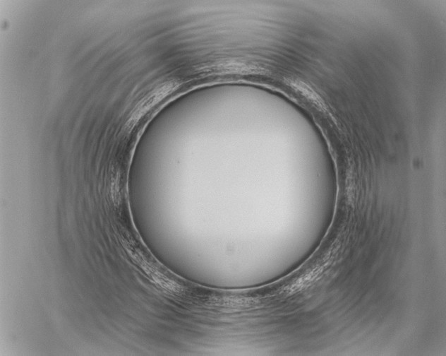 X0000059080873200510281721