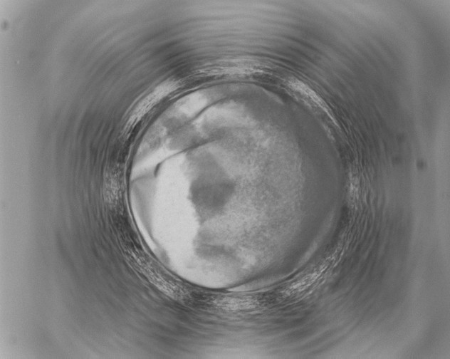 X0000059080874200510281721