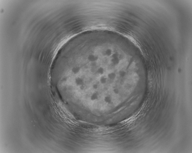 X0000059080879200510281721