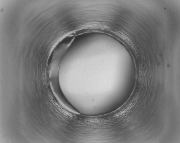 X0000059080880200510281721