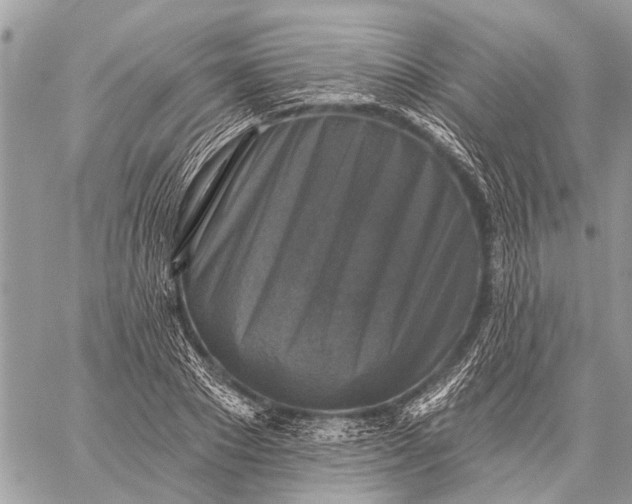 X0000059080881200510281721