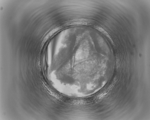 X0000059080882200510281721