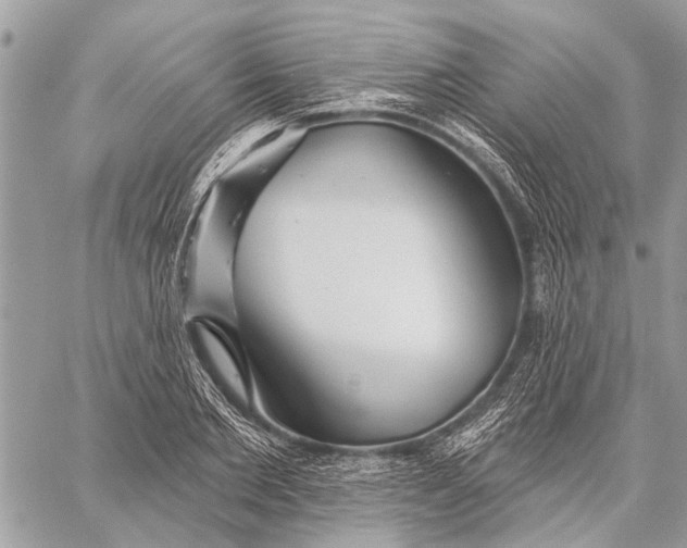 X0000059080885200510281721