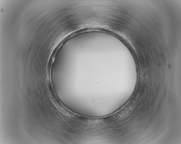 X0000059080887200510281721