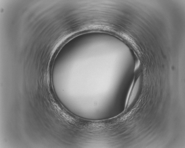 X0000059080888200510281721