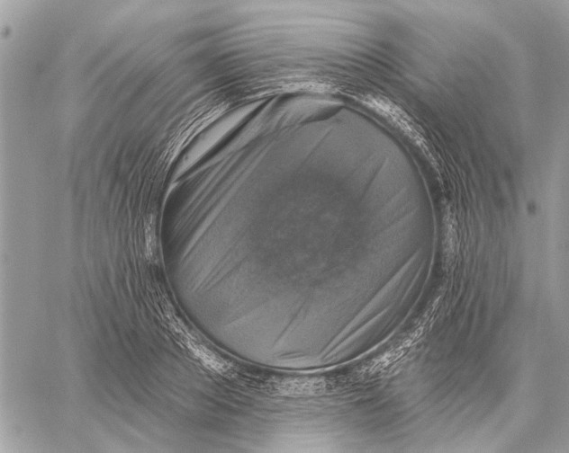 X0000059080889200510281721