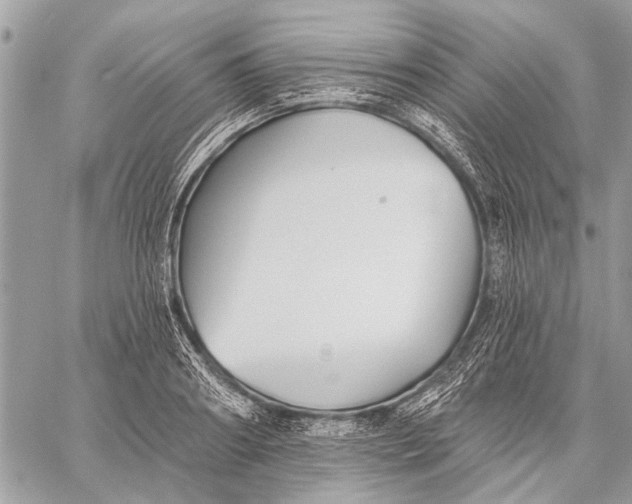 X0000059080890200510281721