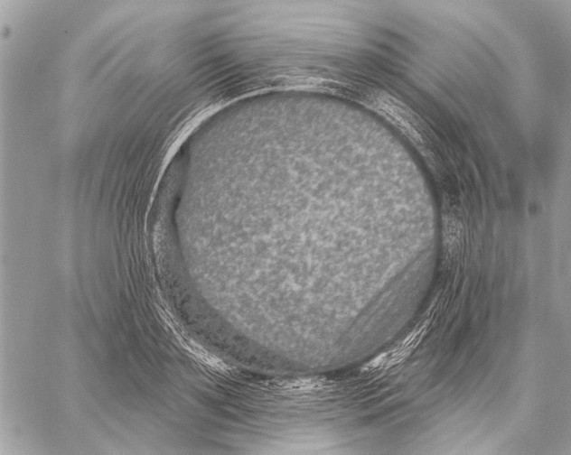 X0000059080891200510281721